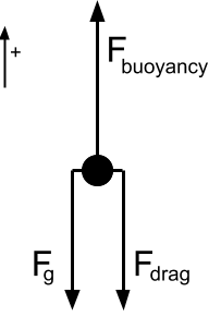 free body diagram